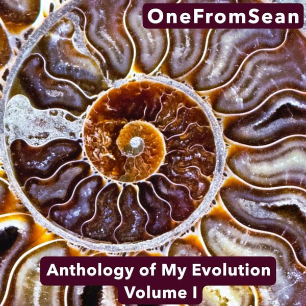 Anthology of my Evolution Vol I